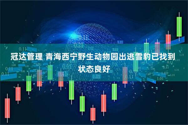 冠达管理 青海西宁野生动物园出逃雪豹已找到&#32;状态良好