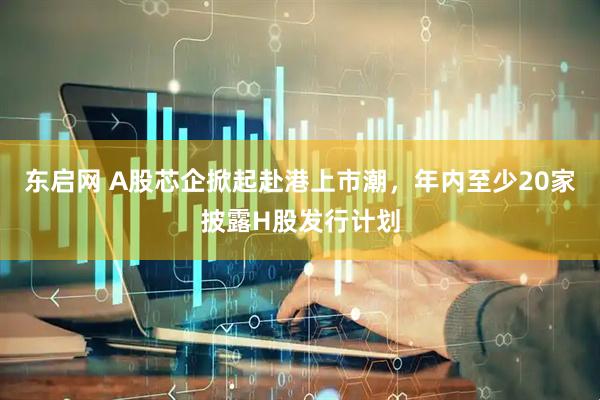 东启网 A股芯企掀起赴港上市潮，年内至少20家披露H股发行计划