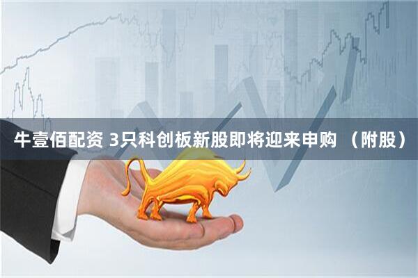 牛壹佰配资 3只科创板新股即将迎来申购 （附股）